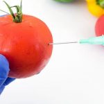 Studies Confirm: DNA From Genetically Modified Foods Pass Directly Into Humans