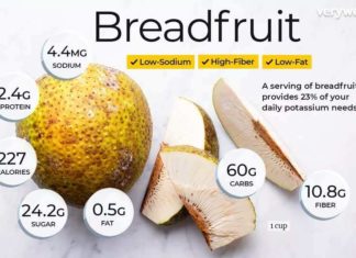 Breadfruit Nutrition Facts and Health Benefits
