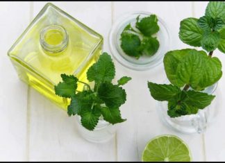 Lemon Balm for Sleep