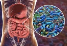 Your Gut Microbiome Could Be the Secret Weapon in Cancer Treatment